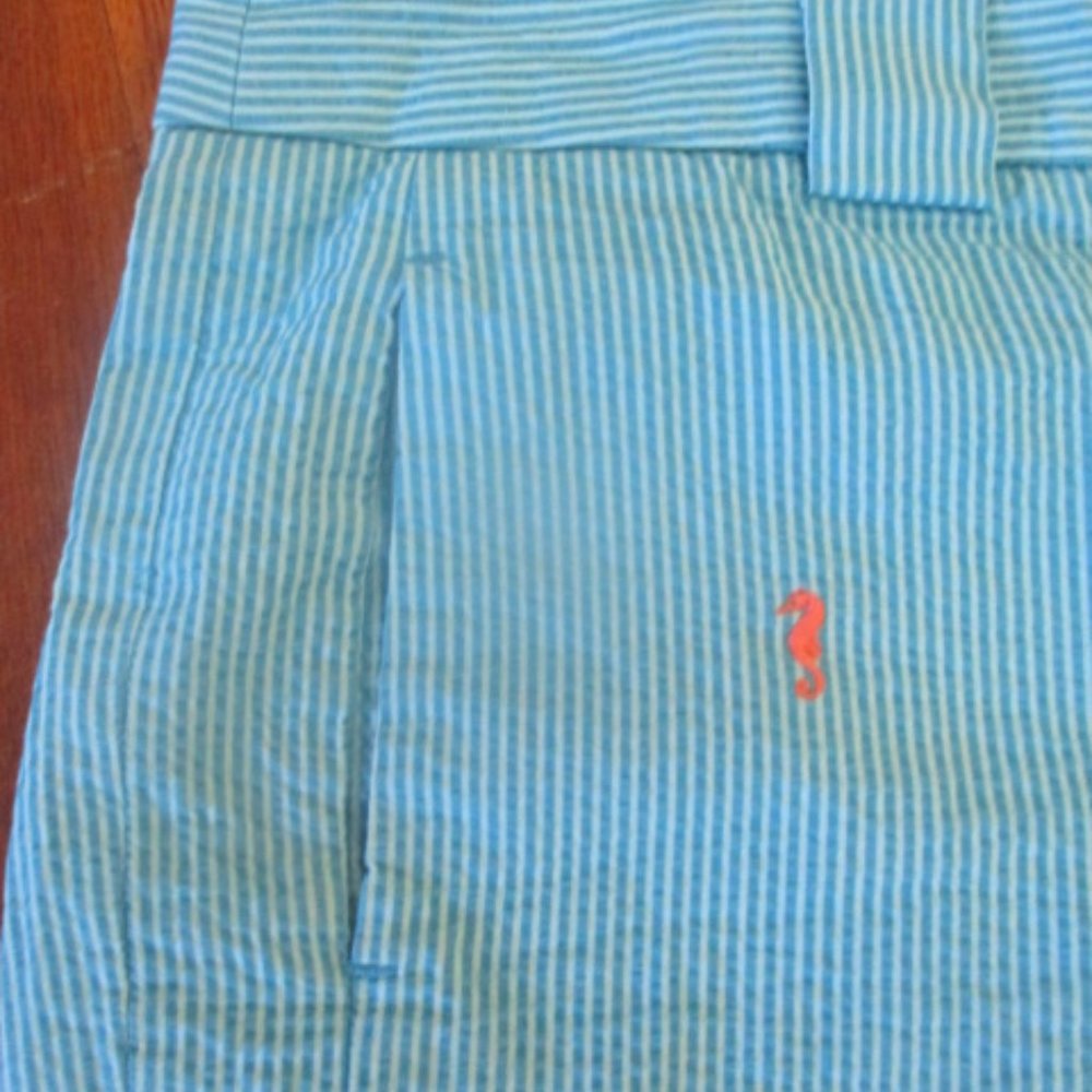 Women's Brooks Brothers Shorts  Blue Stripe Seersucker Seahorses Plus Sz 16